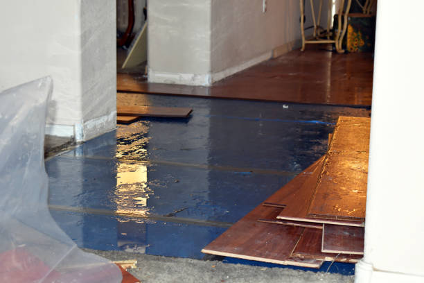 Professional Burst Pipe Cleanup technician working in Deerfield, WI